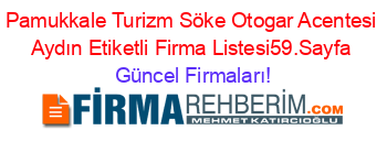 Pamukkale+Turizm+Söke+Otogar+Acentesi+Aydın+Etiketli+Firma+Listesi59.Sayfa Güncel+Firmaları!