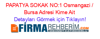 PAPATYA+SOKAK+NO:1+Osmangazi+/+Bursa+Adresi+Kime+Ait Detayları+Görmek+için+Tıklayın!
