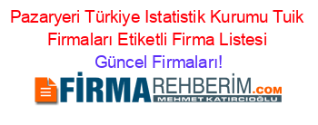 Pazaryeri+Türkiye+Istatistik+Kurumu+Tuik+Firmaları+Etiketli+Firma+Listesi Güncel+Firmaları!