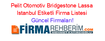 Pelit+Otomotiv+Bridgestone+Lassa+Istanbul+Etiketli+Firma+Listesi Güncel+Firmaları!