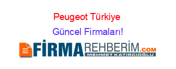 Peugeot+Türkiye+ Güncel+Firmaları!