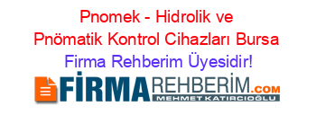 Pnomek+-+Hidrolik+ve+Pnömatik+Kontrol+Cihazları+Bursa Firma+Rehberim+Üyesidir!