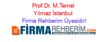 Prof.Dr.+M.Temel+Yılmaz+İstanbul Firma+Rehberim+Üyesidir!