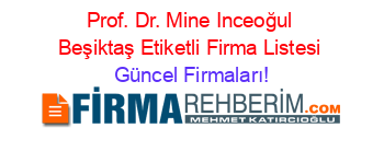 Prof.+Dr.+Mine+Inceoğul+Beşiktaş+Etiketli+Firma+Listesi Güncel+Firmaları!