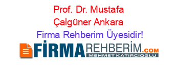 Prof.+Dr.+Mustafa+Çalgüner+Ankara Firma+Rehberim+Üyesidir!