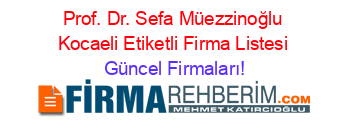 Prof.+Dr.+Sefa+Müezzinoğlu+Kocaeli+Etiketli+Firma+Listesi Güncel+Firmaları!