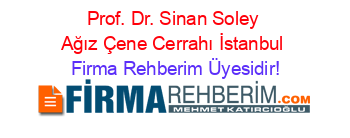 Prof.+Dr.+Sinan+Soley+Ağız+Çene+Cerrahı+İstanbul Firma+Rehberim+Üyesidir!