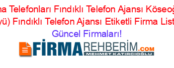 Rize+Firma+Telefonları+Fındıklı+Telefon+Ajansı+Köseoğlu+(Hara+Köyü)+Fındıklı+Telefon+Ajansı+Etiketli+Firma+Listesi Güncel+Firmaları!