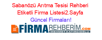 Sabanözü+Arıtma+Tesisi+Rehberi+Etiketli+Firma+Listesi2.Sayfa Güncel+Firmaları!