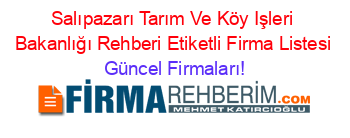 Salıpazarı+Tarım+Ve+Köy+Işleri+Bakanlığı+Rehberi+Etiketli+Firma+Listesi Güncel+Firmaları!