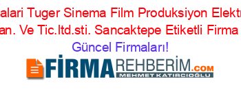 Sancakpark+Sinemalari+Tuger+Sinema+Film+Produksiyon+Elektronik+Insaat+Tekstil+Gida+San.+Ve+Tic.ltd.sti.+Sancaktepe+Etiketli+Firma+Listesi Güncel+Firmaları!