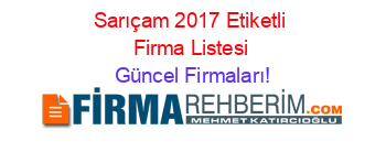 Sarıçam+2017+Etiketli+Firma+Listesi Güncel+Firmaları!