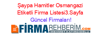 Şaypa+Hamitler+Osmangazi+Etiketli+Firma+Listesi3.Sayfa Güncel+Firmaları!