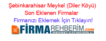 Şebinkarahisar+Meykel+(Diler+Köyü)+Son+Eklenen+Firmalar+ Firmanızı+Eklemek+İçin+Tıklayın!