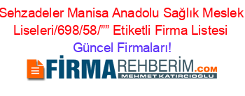 Sehzadeler+Manisa+Anadolu+Sağlık+Meslek+Liseleri/698/58/””+Etiketli+Firma+Listesi Güncel+Firmaları!