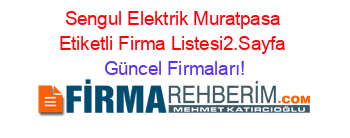 Sengul+Elektrik+Muratpasa+Etiketli+Firma+Listesi2.Sayfa Güncel+Firmaları!