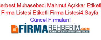 Serbest+Muhasebeci+Mahmut+Açıkkar+Etiketli+Firma+Listesi+Etiketli+Firma+Listesi4.Sayfa Güncel+Firmaları!