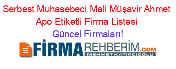 Serbest+Muhasebeci+Mali+Müşavir+Ahmet+Apo+Etiketli+Firma+Listesi Güncel+Firmaları!