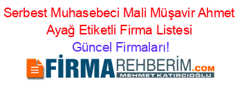 Serbest+Muhasebeci+Mali+Müşavir+Ahmet+Ayağ+Etiketli+Firma+Listesi Güncel+Firmaları!