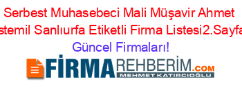 Serbest+Muhasebeci+Mali+Müşavir+Ahmet+Istemil+Sanlıurfa+Etiketli+Firma+Listesi2.Sayfa Güncel+Firmaları!