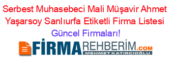 Serbest+Muhasebeci+Mali+Müşavir+Ahmet+Yaşarsoy+Sanlıurfa+Etiketli+Firma+Listesi Güncel+Firmaları!