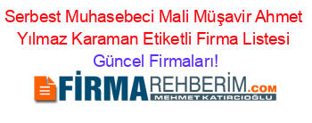 Serbest+Muhasebeci+Mali+Müşavir+Ahmet+Yılmaz+Karaman+Etiketli+Firma+Listesi Güncel+Firmaları!