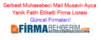 Serbest+Muhasebeci+Mali+Musavir+Ayca+Yanik+Fatih+Etiketli+Firma+Listesi Güncel+Firmaları!