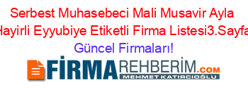 Serbest+Muhasebeci+Mali+Musavir+Ayla+Hayirli+Eyyubiye+Etiketli+Firma+Listesi3.Sayfa Güncel+Firmaları!