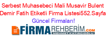 Serbest+Muhasebeci+Mali+Musavir+Bulent+Demir+Fatih+Etiketli+Firma+Listesi552.Sayfa Güncel+Firmaları!