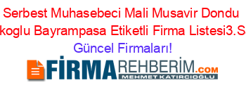 Serbest+Muhasebeci+Mali+Musavir+Dondu+Turakoglu+Bayrampasa+Etiketli+Firma+Listesi3.Sayfa Güncel+Firmaları!