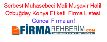 Serbest+Muhasebeci+Mali+Müşavir+Halil+Ozbuğday+Konya+Etiketli+Firma+Listesi Güncel+Firmaları!