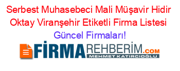 Serbest+Muhasebeci+Mali+Müşavir+Hidir+Oktay+Viranşehir+Etiketli+Firma+Listesi Güncel+Firmaları!