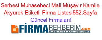 Serbest+Muhasebeci+Mali+Müşavir+Kamile+Akyürek+Etiketli+Firma+Listesi552.Sayfa Güncel+Firmaları!