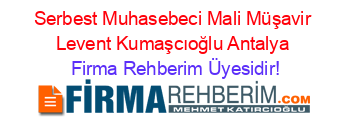 Serbest+Muhasebeci+Mali+Müşavir+Levent+Kumaşcıoğlu+Antalya Firma+Rehberim+Üyesidir!