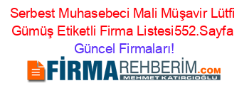 Serbest+Muhasebeci+Mali+Müşavir+Lütfi+Gümüş+Etiketli+Firma+Listesi552.Sayfa Güncel+Firmaları!