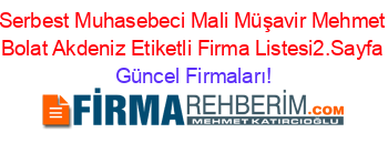Serbest+Muhasebeci+Mali+Müşavir+Mehmet+Bolat+Akdeniz+Etiketli+Firma+Listesi2.Sayfa Güncel+Firmaları!