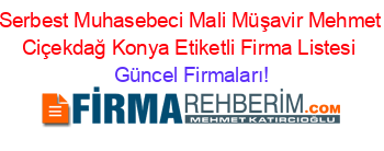 Serbest+Muhasebeci+Mali+Müşavir+Mehmet+Ciçekdağ+Konya+Etiketli+Firma+Listesi Güncel+Firmaları!
