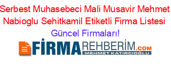 Serbest+Muhasebeci+Mali+Musavir+Mehmet+Nabioglu+Sehitkamil+Etiketli+Firma+Listesi Güncel+Firmaları!
