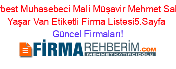 Serbest+Muhasebeci+Mali+Müşavir+Mehmet+Sahin+Yaşar+Van+Etiketli+Firma+Listesi5.Sayfa Güncel+Firmaları!