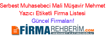 Serbest+Muhasebeci+Mali+Müşavir+Mehmet+Yazıcı+Etiketli+Firma+Listesi Güncel+Firmaları!