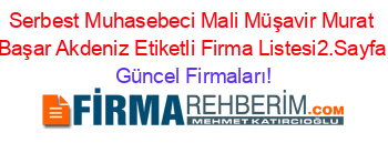 Serbest+Muhasebeci+Mali+Müşavir+Murat+Başar+Akdeniz+Etiketli+Firma+Listesi2.Sayfa Güncel+Firmaları!