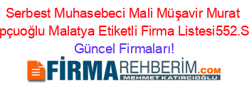 Serbest+Muhasebeci+Mali+Müşavir+Murat+Öztopçuoğlu+Malatya+Etiketli+Firma+Listesi552.Sayfa Güncel+Firmaları!
