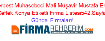 Serbest+Muhasebeci+Mali+Müşavir+Mustafa+Erol+Şeflek+Konya+Etiketli+Firma+Listesi542.Sayfa Güncel+Firmaları!