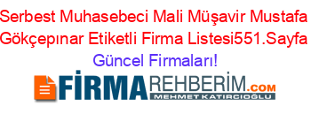 Serbest+Muhasebeci+Mali+Müşavir+Mustafa+Gökçepınar+Etiketli+Firma+Listesi551.Sayfa Güncel+Firmaları!