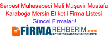 Serbest+Muhasebeci+Mali+Müşavir+Mustafa+Karaboğa+Mersin+Etiketli+Firma+Listesi Güncel+Firmaları!