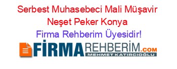 Serbest+Muhasebeci+Mali+Müşavir+Neşet+Peker+Konya Firma+Rehberim+Üyesidir!