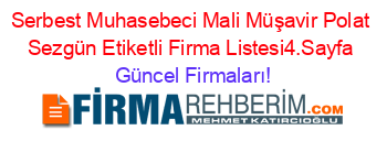 Serbest+Muhasebeci+Mali+Müşavir+Polat+Sezgün+Etiketli+Firma+Listesi4.Sayfa Güncel+Firmaları!