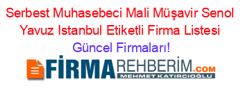 Serbest+Muhasebeci+Mali+Müşavir+Senol+Yavuz+Istanbul+Etiketli+Firma+Listesi Güncel+Firmaları!