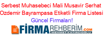 Serbest+Muhasebeci+Mali+Musavir+Serhat+Ozdemir+Bayrampasa+Etiketli+Firma+Listesi Güncel+Firmaları!