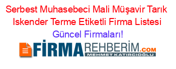 Serbest+Muhasebeci+Mali+Müşavir+Tarık+Iskender+Terme+Etiketli+Firma+Listesi Güncel+Firmaları!